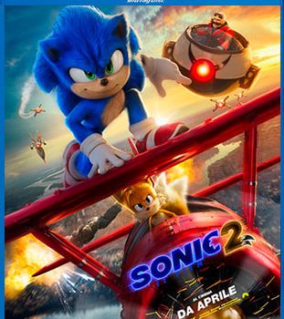 Duecentoquarantatre giorni sul pianeta dei funghi, con la sola compagnia di una roccia di nome Roccia, hanno reso il bizzarro Eggman, se non più matto, di certo più determinato nel suo proposito di scovare Sonic per eliminarlo definitivamente dall'universo.