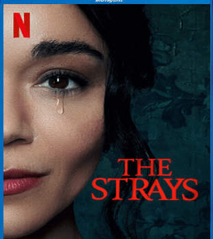 The Strays, il film diretto da Nathaniel Martello-White, racconta la vita apparentemente perfetta di Neve (Ashley Madekwe), una giovane donna con un buon lavoro in una scuola privata, che vive in un quartiere per benestanti insieme alla sua bella famiglia.