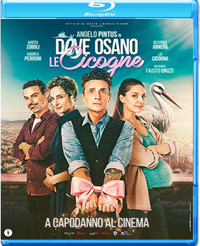 Dove osano le cicogne