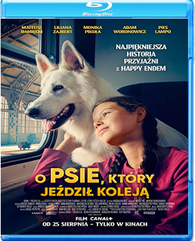 Lampo il cane viaggiatore