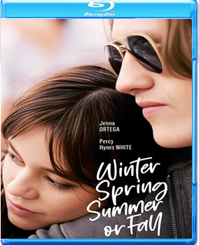Winter Spring Summer or Fall
