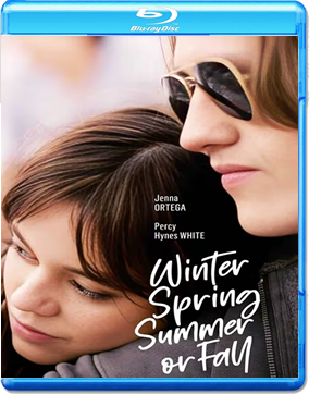 Winter Spring Summer or Fall