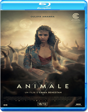 Animale